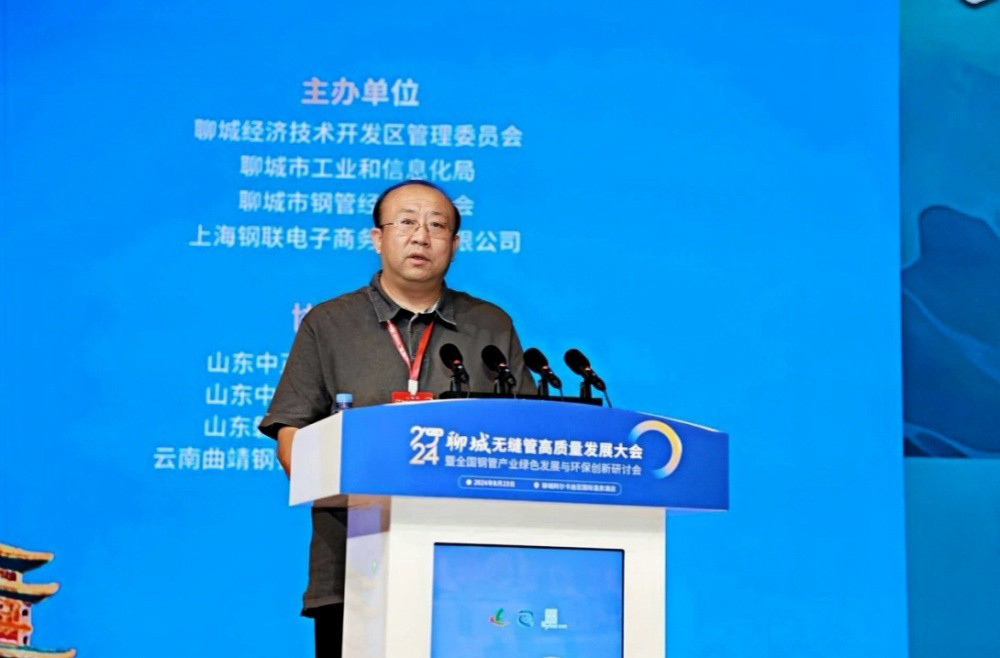 Wu Lei, a specially invited expert from the Steel Pipe Branch of the China Steel Structure Association